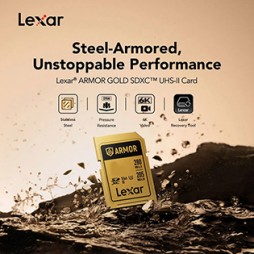 Lexar Armor Pro Gold 64 GB SDXC V60 (280/210 MB/s) Speicherkarte