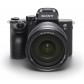 Sony Alpha ILCE-7 III mit SEL FE 24-105mm OSS